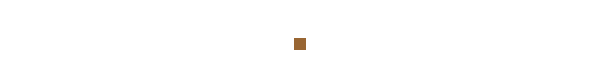 RZV500